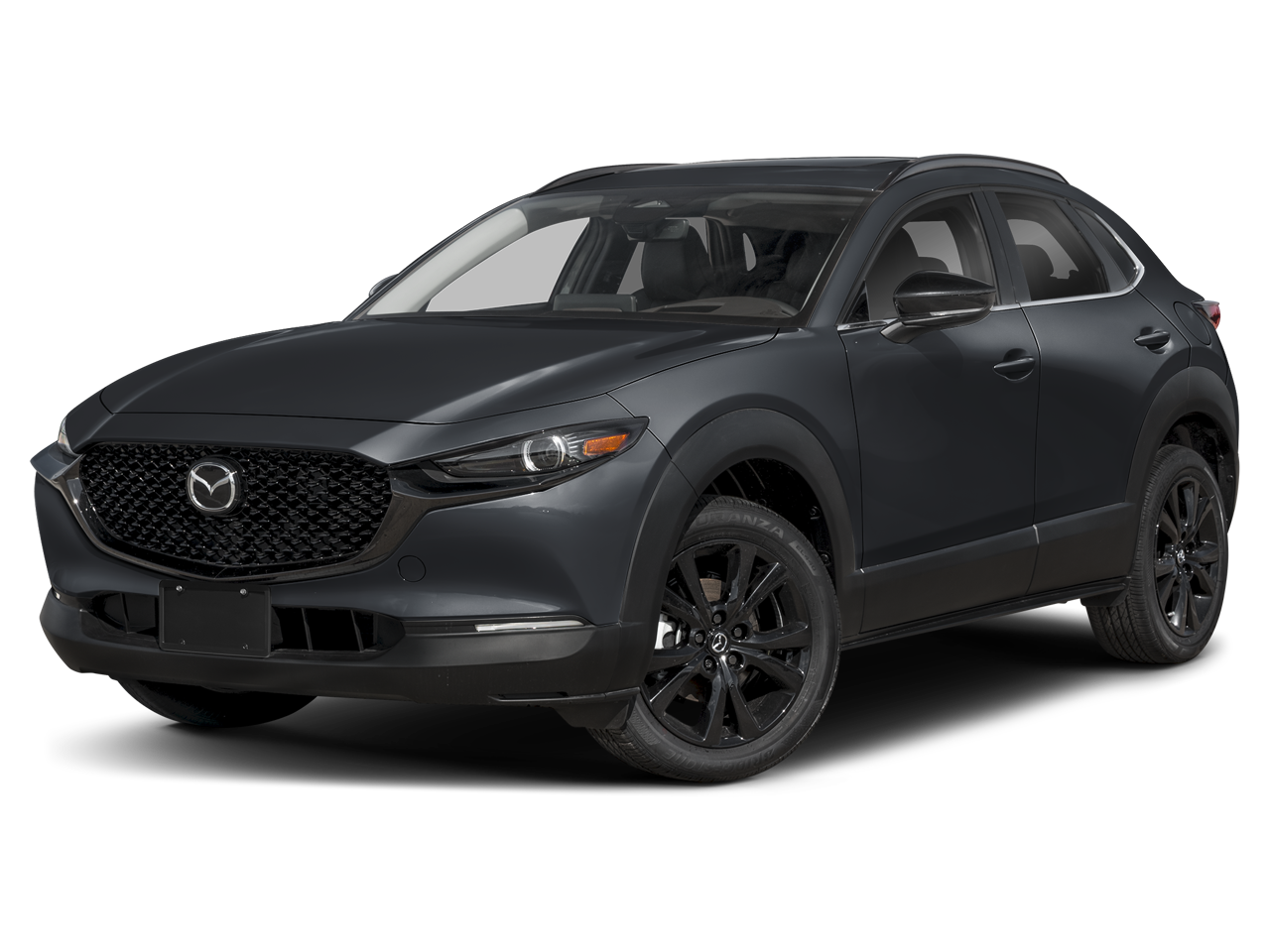 2025 Mazda CX-30 Turbo Premium - Photo 24