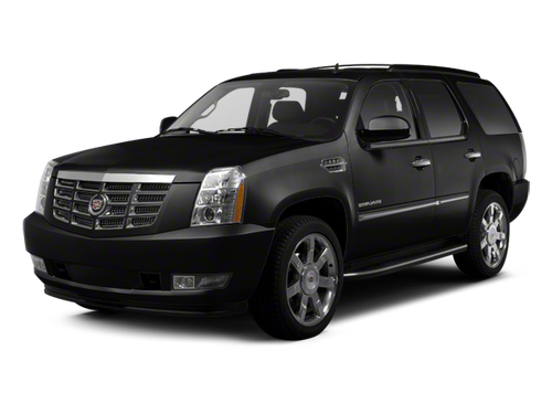 2010 Cadillac Escalade Platinum Edition